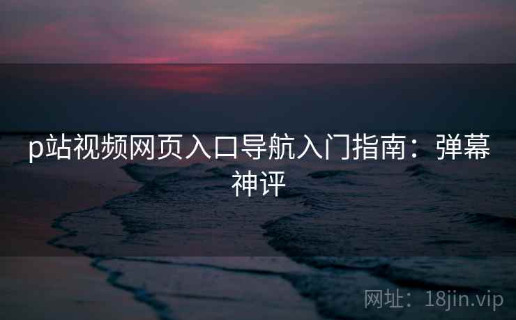 p站视频网页入口导航入门指南：弹幕神评