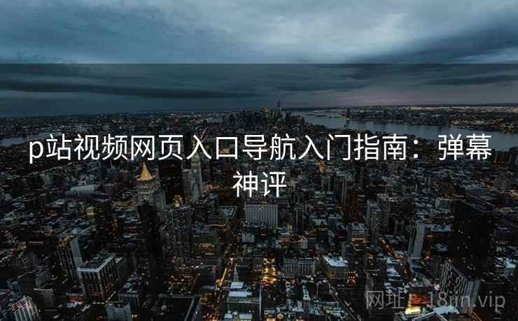 p站视频网页入口导航入门指南：弹幕神评