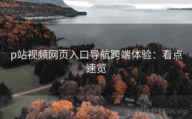 p站视频网页入口导航跨端体验：看点速览