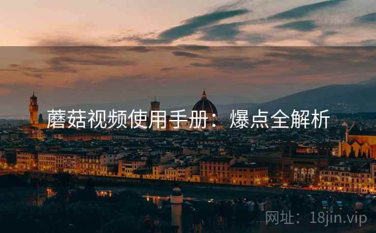 蘑菇视频使用手册：爆点全解析