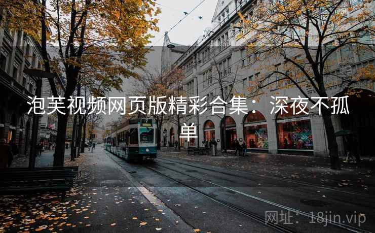 泡芙视频网页版精彩合集：深夜不孤单